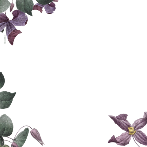 Vintage programma met botanische paarse bloemen