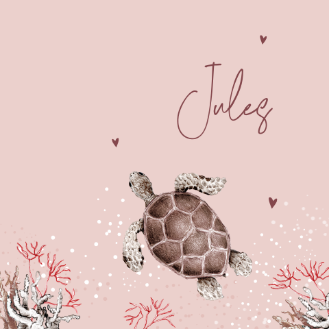 geboortekaartje illustratie schildpad roze onderwater zeedier meisje