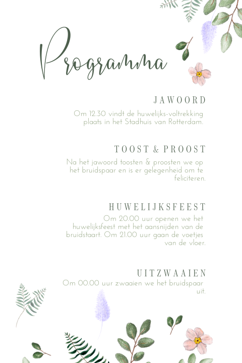 Romantisch Programma Met Pastel Bloemen En Blaadjes